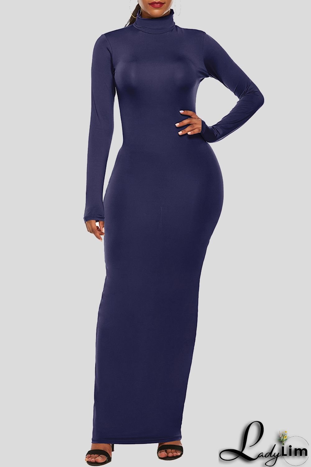 Black Fashion Casual Solid Basic Turtleneck Long Sleeve Dresses