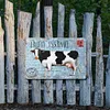 Farm Milk Cow - Metal Tin Signs(8*12Inch/12*16Inch)