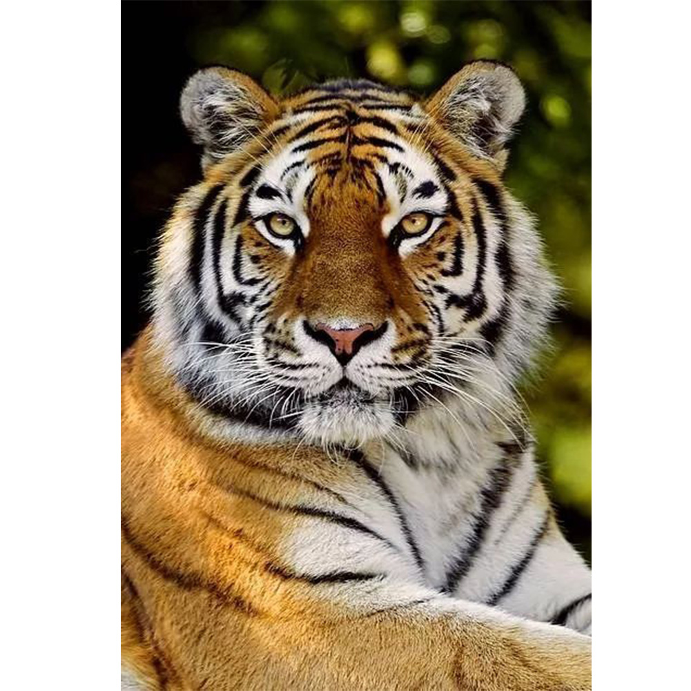 

Sitting Tiger - Round Drill Diamond Painting - 40*60CM (Big Size), 501 Original