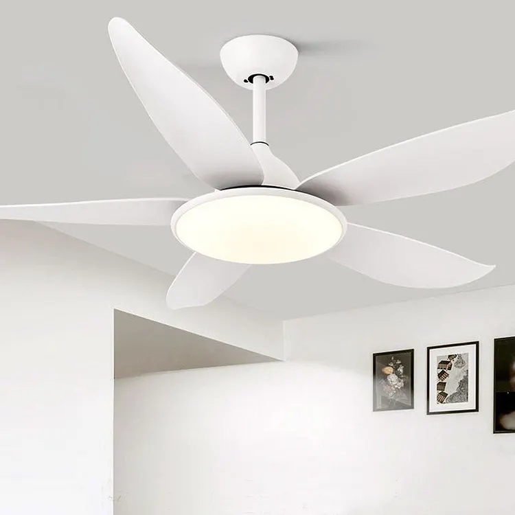 Haydn 5-Blade Modern Basic DC Ceiling Fan with Light & 52''