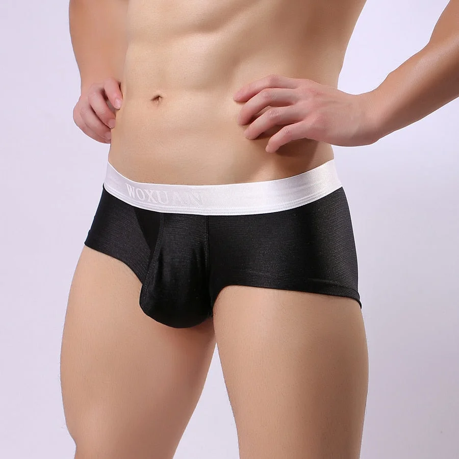 Aonga Man  Silk Slips Mini Boxers Shorts Underwear  Male Bulge Pouch Trunks Panties Underpants