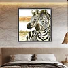 Zebra - 9CT Partial Beaded Cross Stitch Kit(62x62cm)