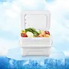 6L Insulated Portable Cooler with Handle Ice Bucket for Outdoor Picnic (White)