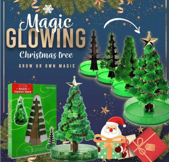 🎄 DIY Magic Growing Christmas Tree