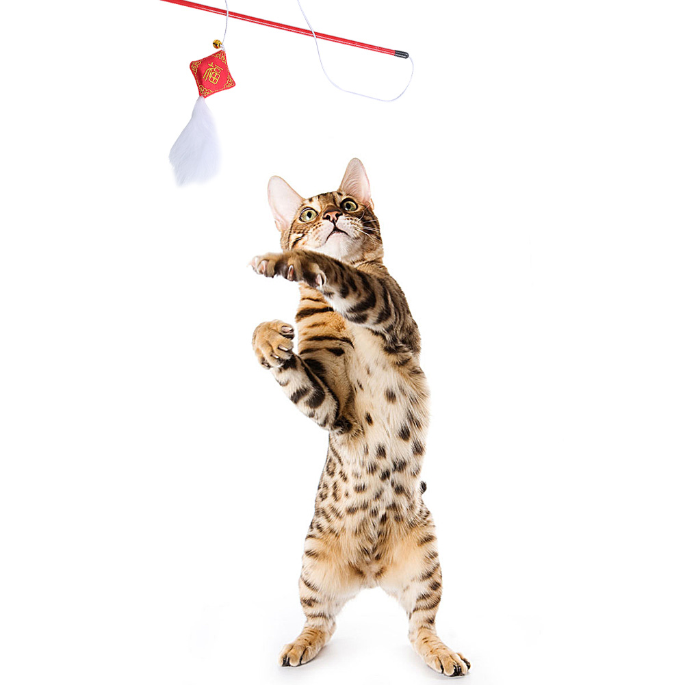 

30cm New Year Pet Cat Teaser Rod Interactive Kitten Wand Funny Sticks Toys, 501 Original