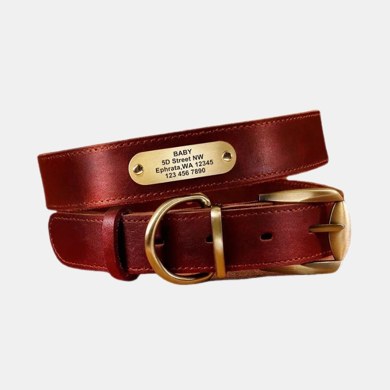 Pet Dog Leather Collar Can Be Customized