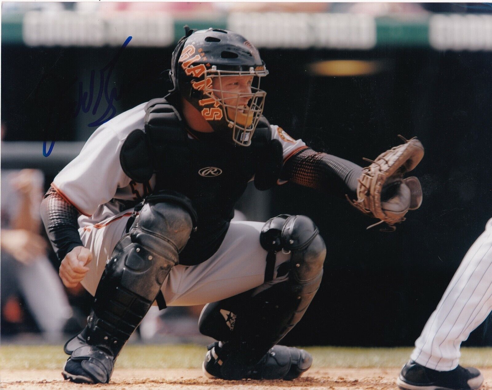 TODD GREENE SAN FRANCISCO GIANTS ACTION SIGNED 8x10