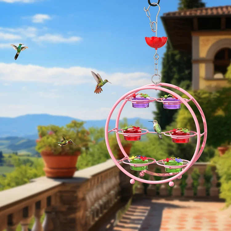 Unique Hummingbird Feeder for Outdoors