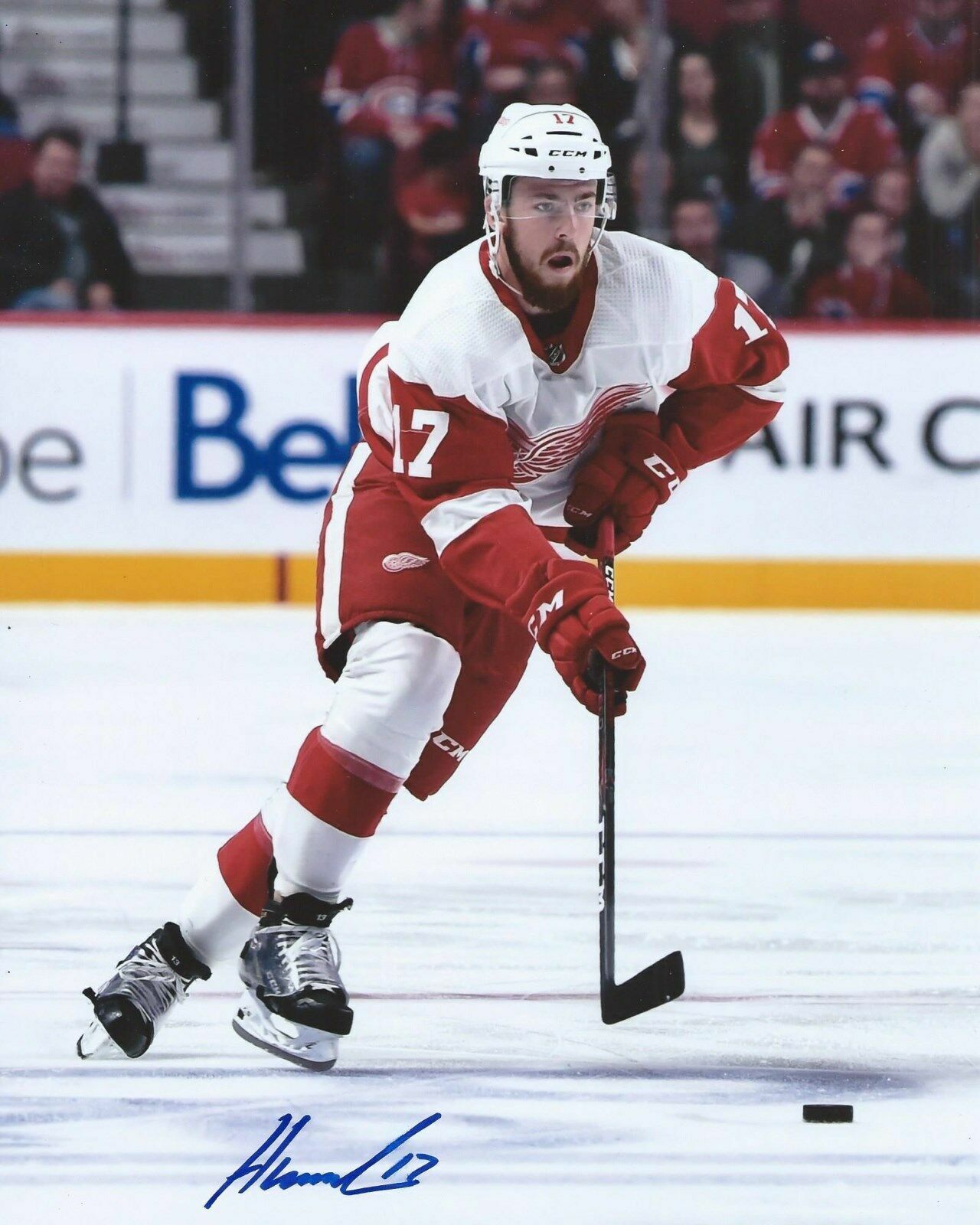 Filip Hronek Autographed Signed 8x10 Photo Poster painting ( Red Wings ) REPRINT