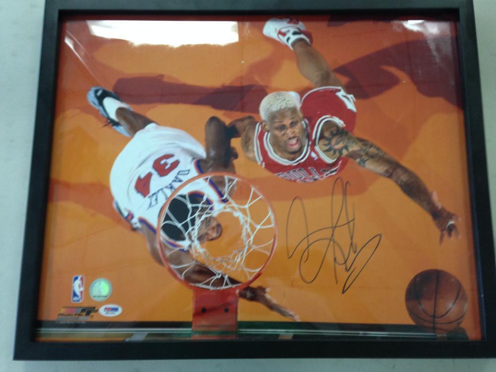 DENNIS RODMAN FRAMED SIGNED 16X20 SIGNED Photo Poster painting PSA/DNA CERTIFIED M91442