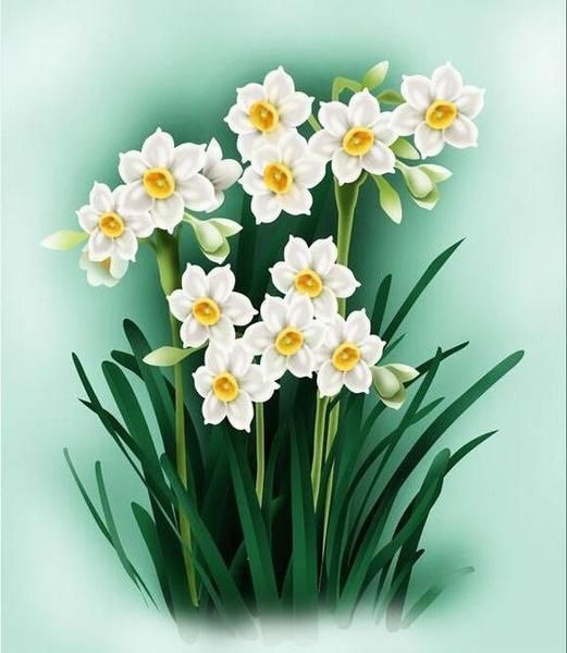 

Daffodil Flowers – Paint By Numbers - 40*50CM, 501 Original