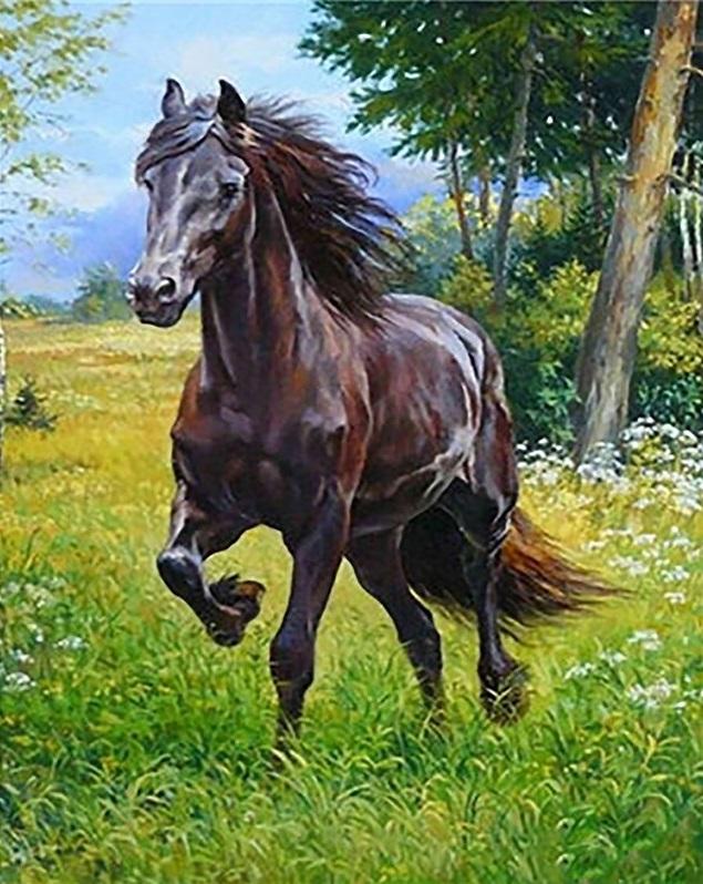 

Brown Horse in Forest – Paint By Numbers - 40*50CM, 501 Original