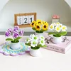 4Pcs Potted Plants Crochet Kit DIY Crochet Starter Kit Crochet Set for Beginners