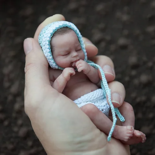 Miniature Doll Sleeping Reborn Baby Doll, 6 inch Realistic Newborn Baby Doll Girl Named Ember