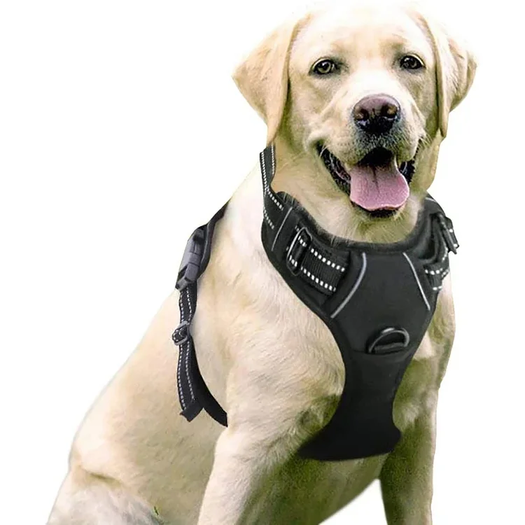 Rabbitgoo Dog Harness, No-pull Pet Harness With 2 Leash Clips, Adjustable Soft Padded Dog Vest