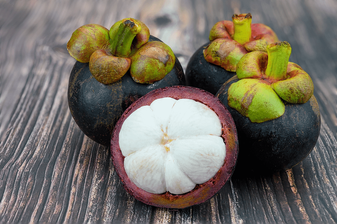 Mangosteen Plant Seeds