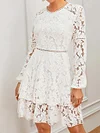 Crochet Hollow Long Sleeves Mini Dress