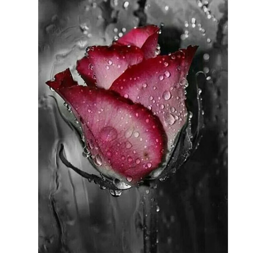 Diamond Painting - Full Round/Square Drill - Red Rose(30*40 - 50*60cm)