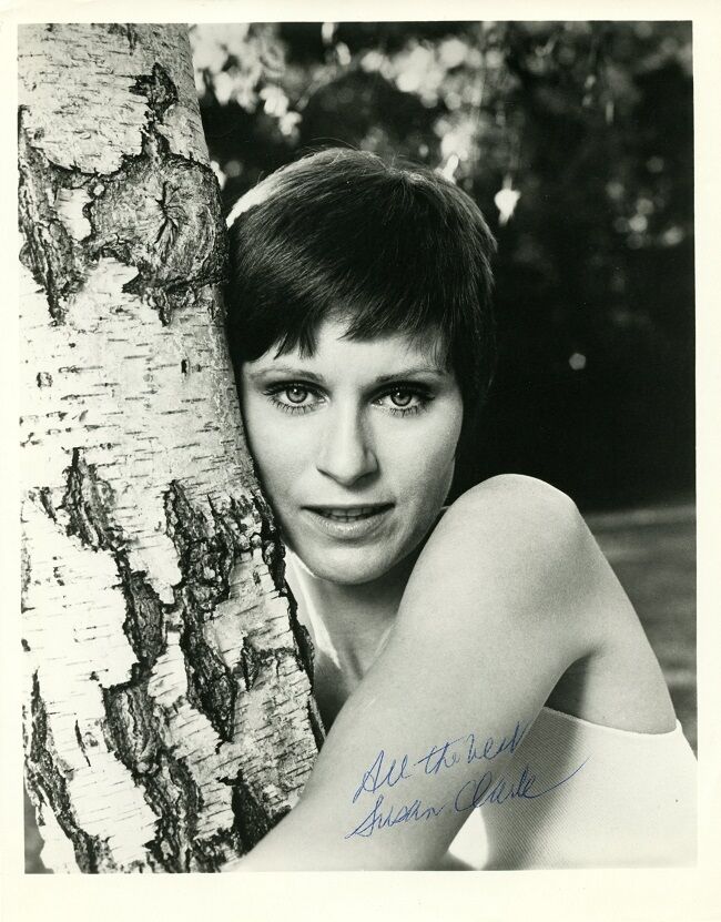 Pretty Young SUSAN CLARK Signed Photo Poster painting - WEBSTER