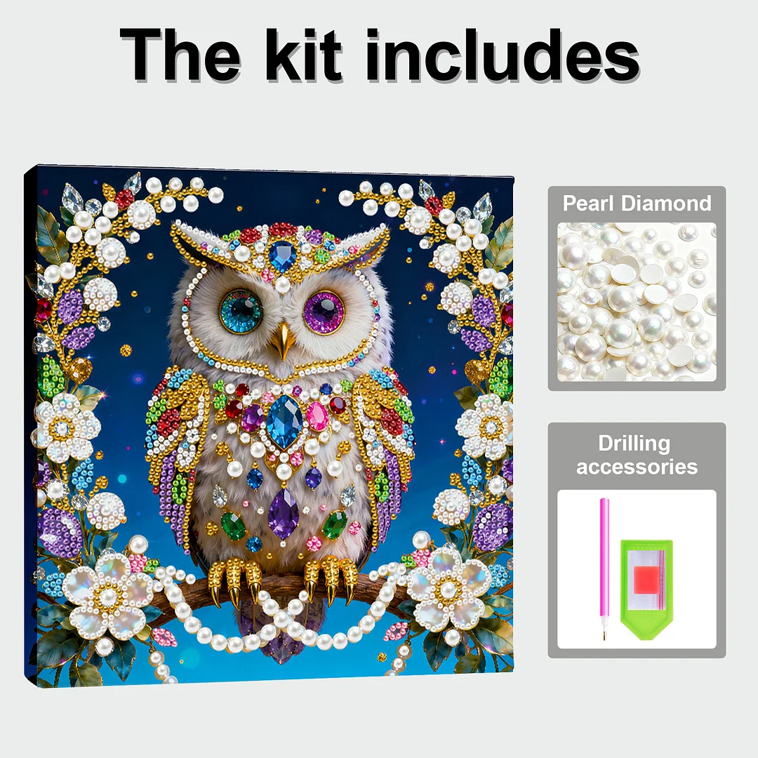 Owl DIY Pearl Art Diamond Painting Kit for Adults Home Decor 25x25cm With Frame