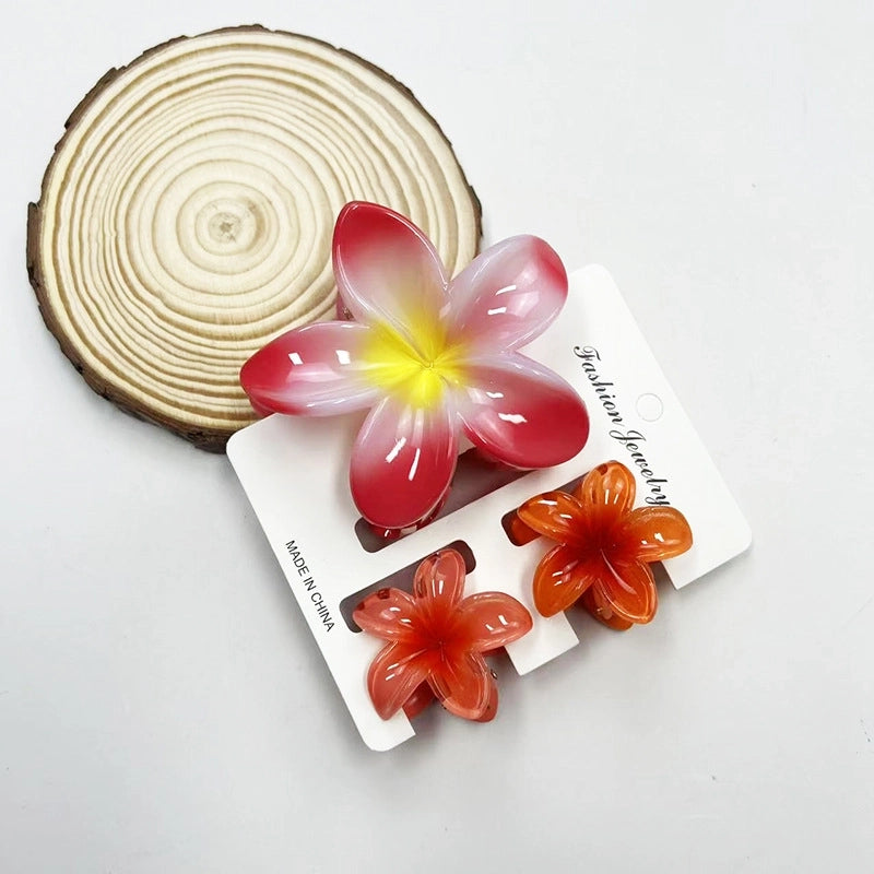 Vacation Modern Style Women’s Flower Resin Hair Claws