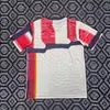 2025/2026 Bayern Munich Pre-Match Uniform Football Shirt 1:1 Thai Quality