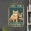 Funny"Are You Pooping Cat" - Vintage Metal Signs(12*16Inch) - Cat