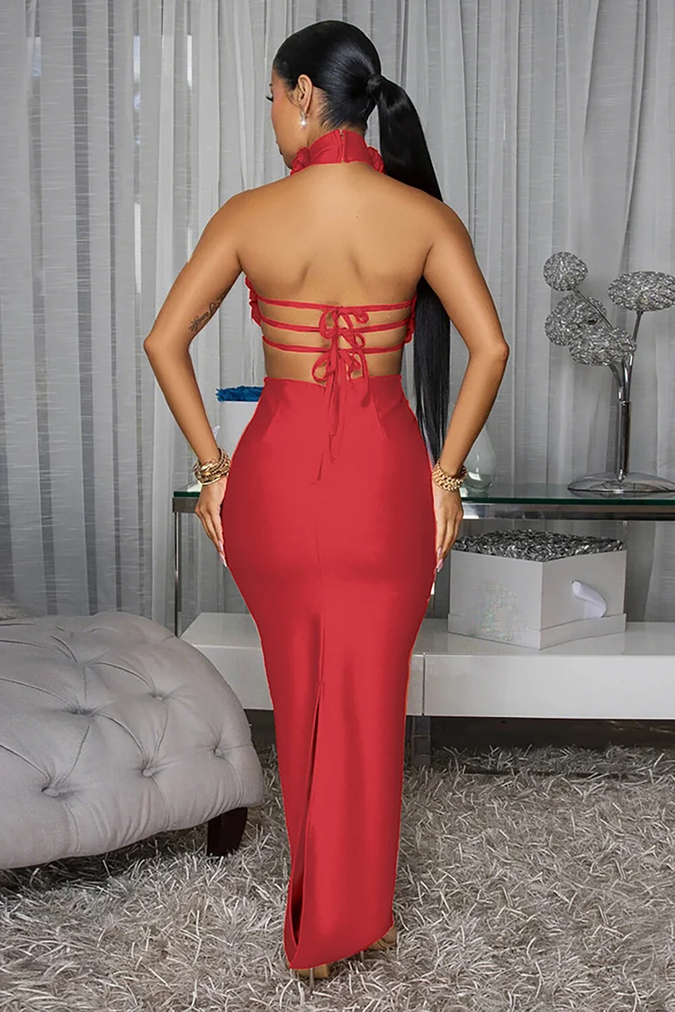 3D Flower Decor High Collar Open Back Bodycon Party Maxi Dresses-Red