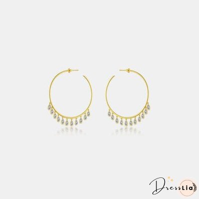 Inlaid Zircon 925 Sterling Silver Earrings