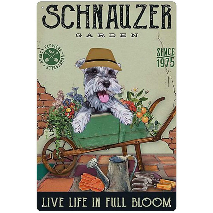 Schnauzer Garden - Vintage Tin Signs/Wooden Signs - 7.9x11.8in & 11.8x15.7in