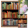(Multi Style)Bookshelf-Full Embroidery 3 strands 11CT Stamped Cross Stitch-40*60CM-Large Size