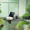 1.4W Solar Adjustable Fountain Pump with 7 Nozzles Solar Panel Kit for Bird Bath