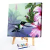 uk.everydayedeals (Limited Stock)Paint By Number - Oil Painting -  Hummingbird (40*40Cm)