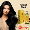 🔥 2025 Hot Sale 50% OFF🔥Coloration nourrissante &agrave; base de plantes