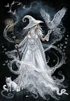 AB Diamond Painting  |  The witch