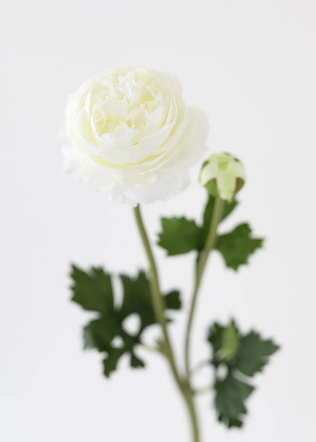 Cream White Ranunculus Silk Flower - 18.75"