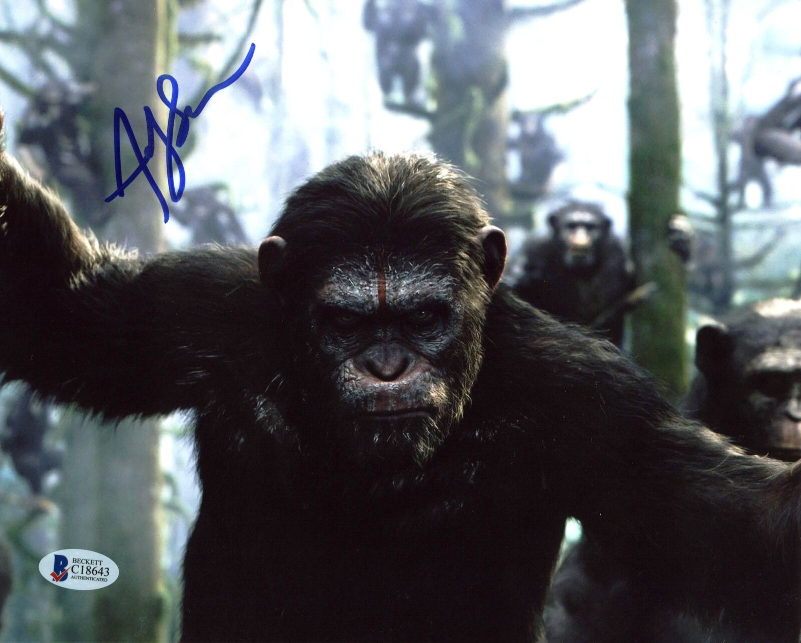 Andy Serkis Planet of the Apes Authentic Signed 8X10 Photo Poster painting BAS #C18643