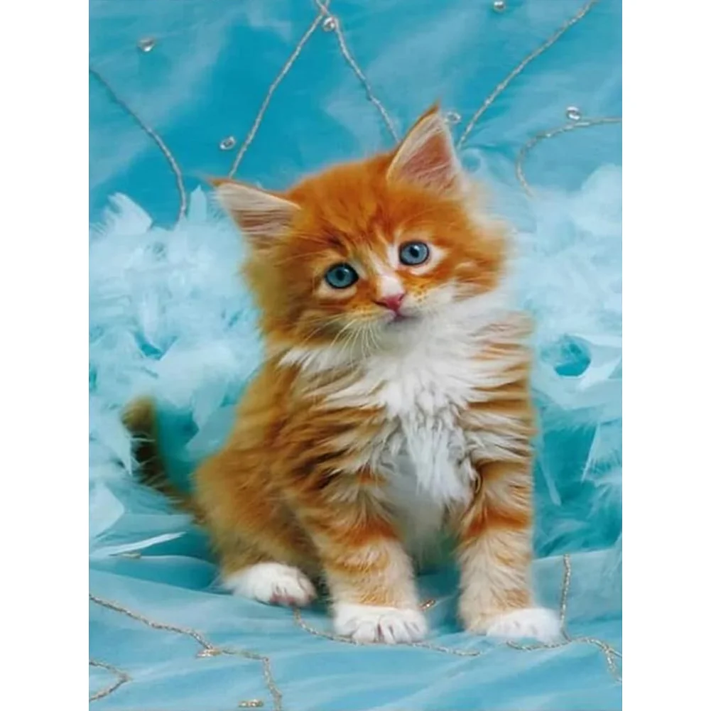 Full Round Diamond Painting - Cat(Canvas|30*40cm)