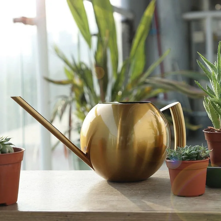 Spherical Gooseneck Stainless Steel Watering Can | AvasHome