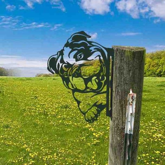 English Bulldog The Art of Metal Voyeur