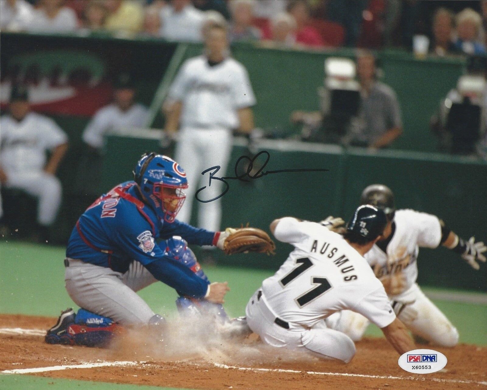 Brad Ausmus Houston Astros signed 8x10 Photo Poster painting PSA/DNA #X60553