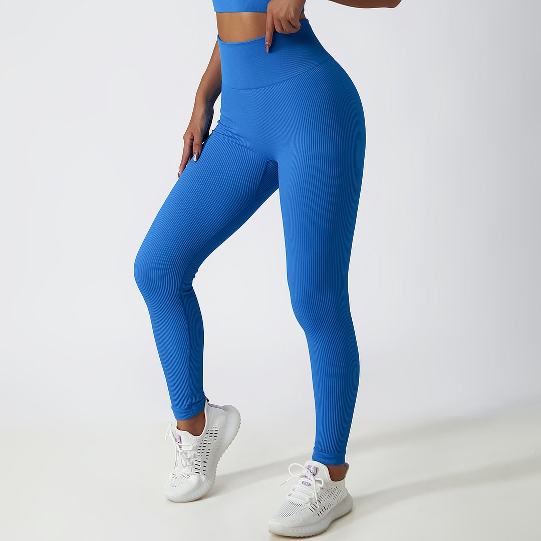 Buy Klein Blue different colors and types of high waist no camel toe ribbed seamless gym sports running tights leggings on Hergymclothing
