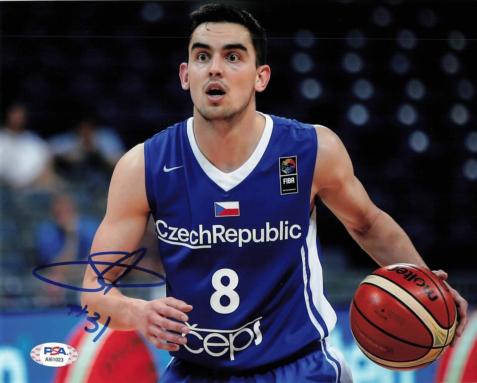 Tomas Satoransky signed 8x10 Photo Poster painting PSA/DNA Washington Wizards Autographed