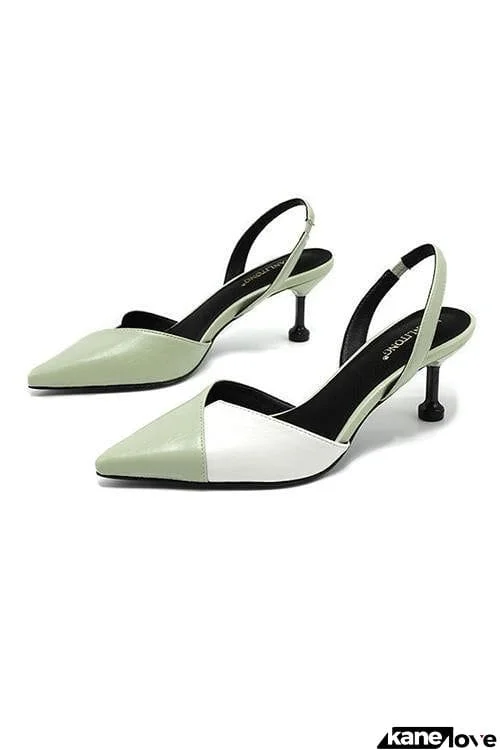 Color Block Pointed Toe High Heel Pumps