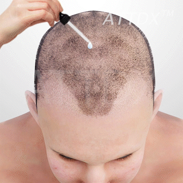 36e337cf10b6dc5e8b4b77596e4dd255