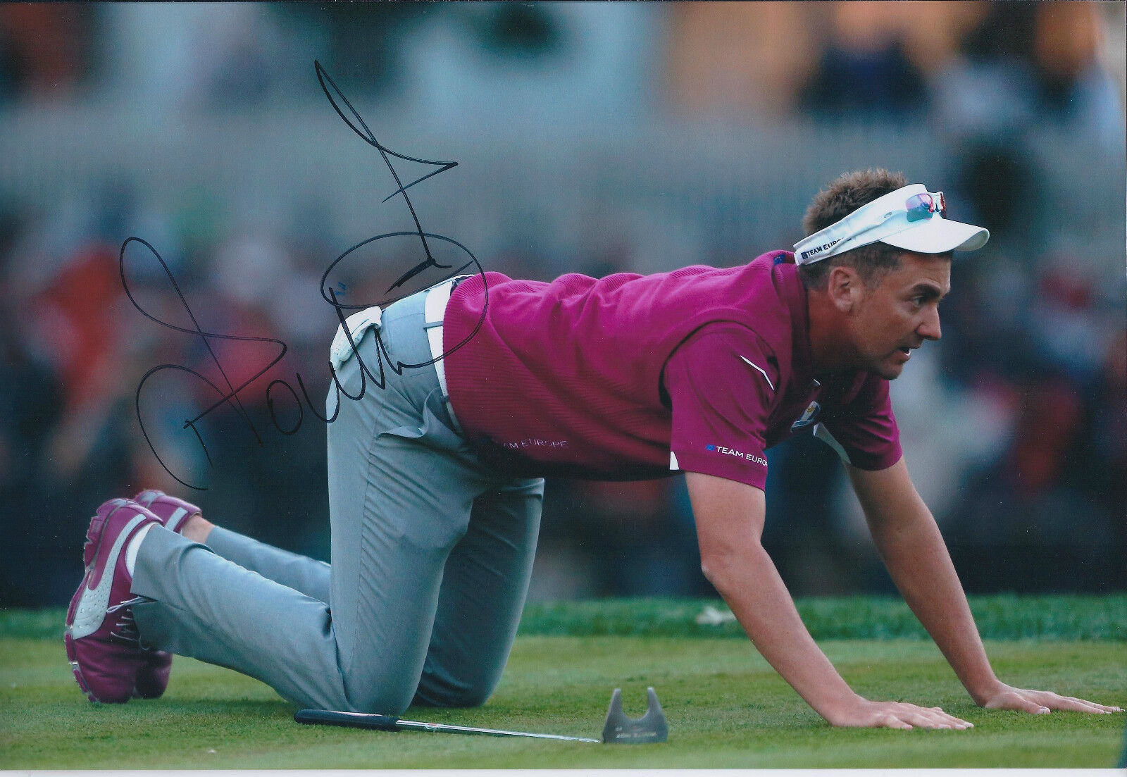 Ian POULTER In Person SIGNED Autograph 12x8 Photo Poster painting AFTAL COA Reading The Green