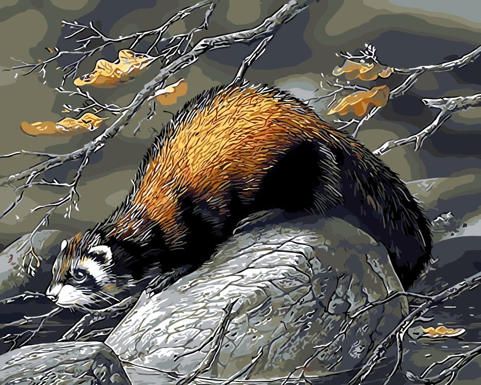 

Beaver – Paint By Numbers - 40*50CM, 501 Original