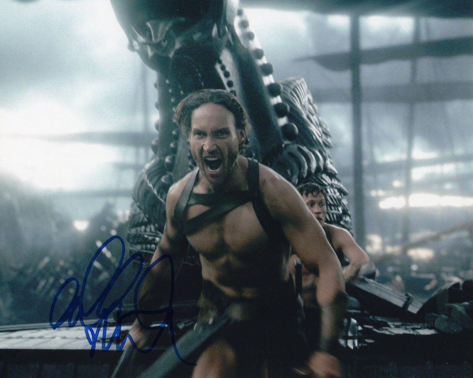 Callan Mulvey Batman vs Superman 300 Rise of a Empire Signed 8x10 Photo Poster painting w/COA #1