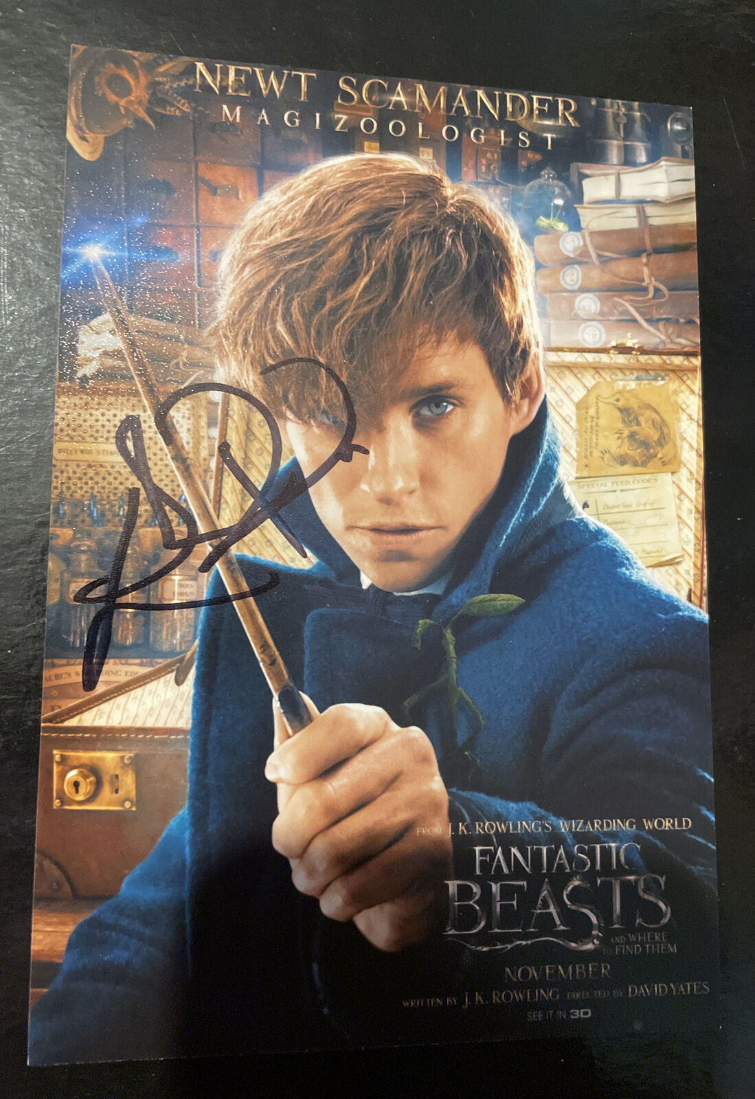 EDDIE REDMAYNE Hand Signed 6x4 Photo Poster painting Autograph Fantastic Beasts Actor