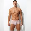 Men's Ultra-Thin Ice Mesh Transparent Sexy Boxers